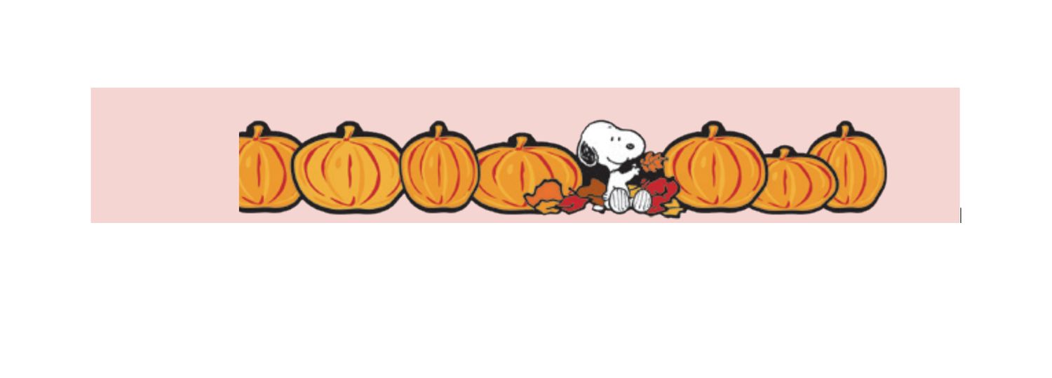 Peanuts Fall Pumpkins Extra Wide Deco Border Trim