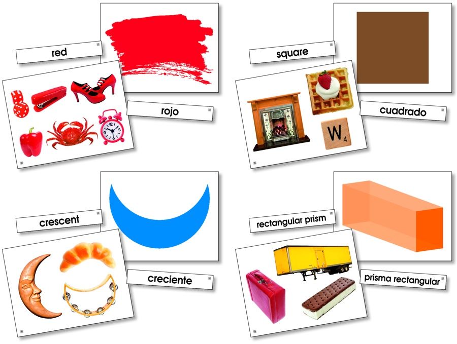 Language Cards/Colors/Shapes