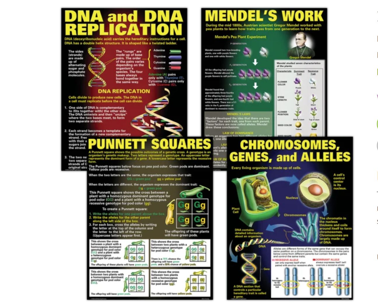 DNA &amp; Heredity Poster Set