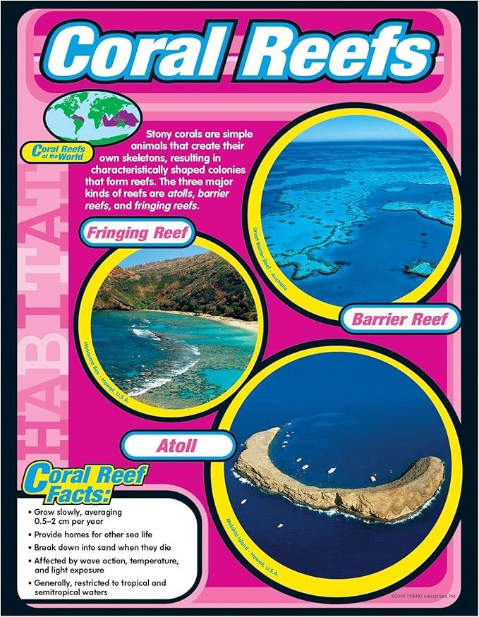 Coral Reefs Learning Chart