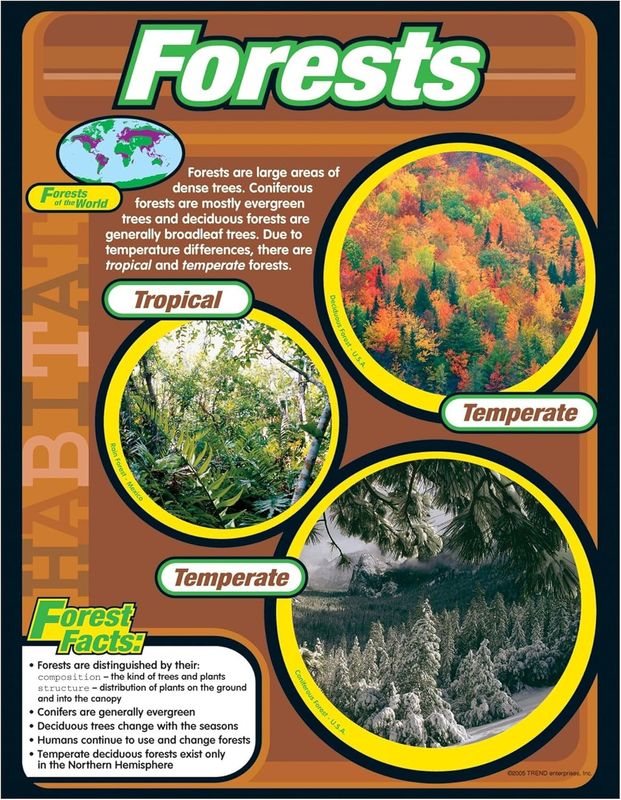 Forests Learning Chart