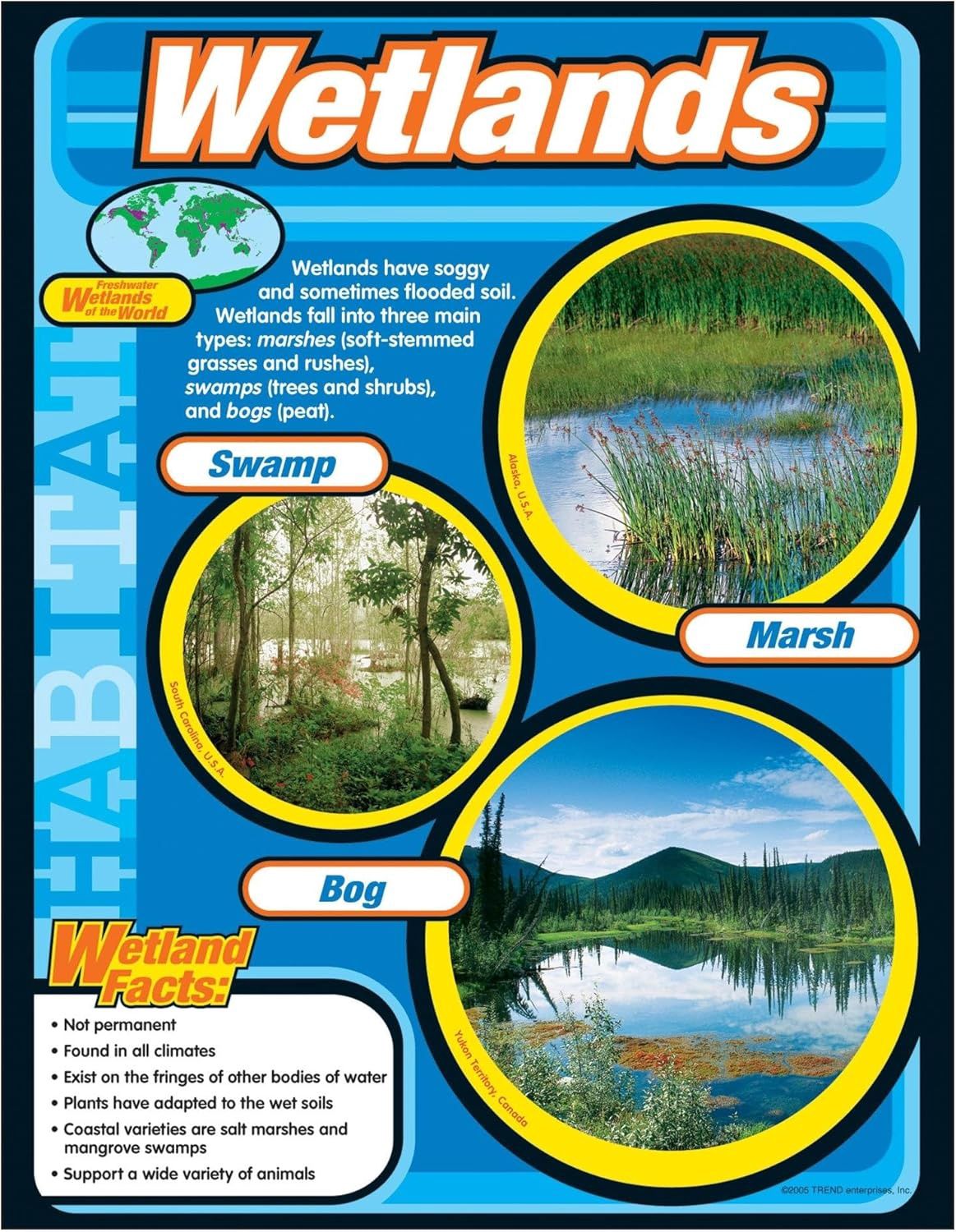 Wetlands Learning Chart