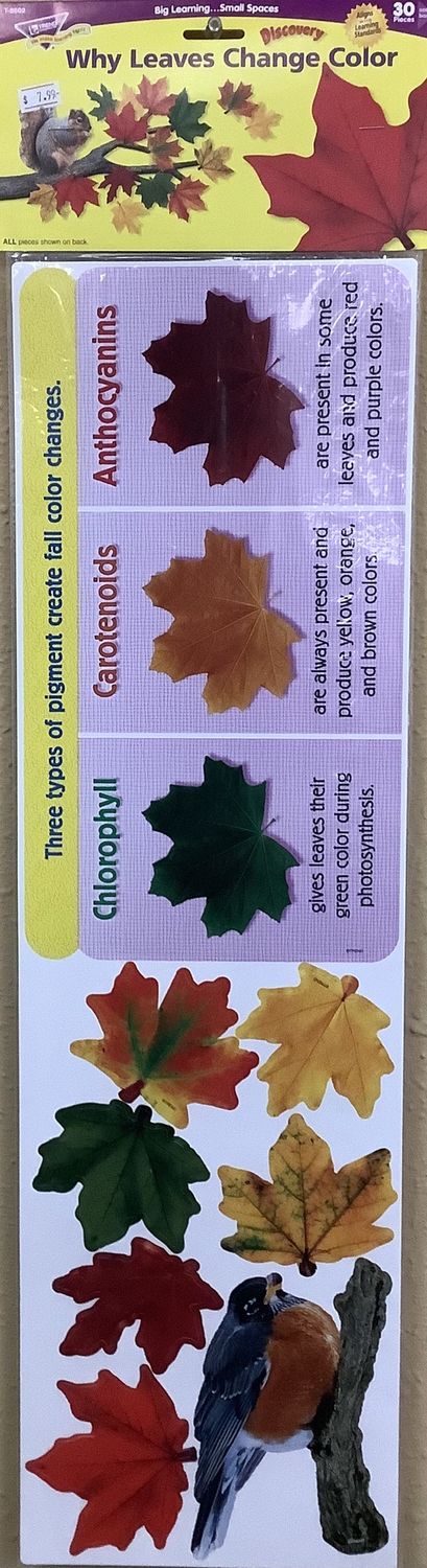 Why Leaves Change Color Mini Bulletin Board Set