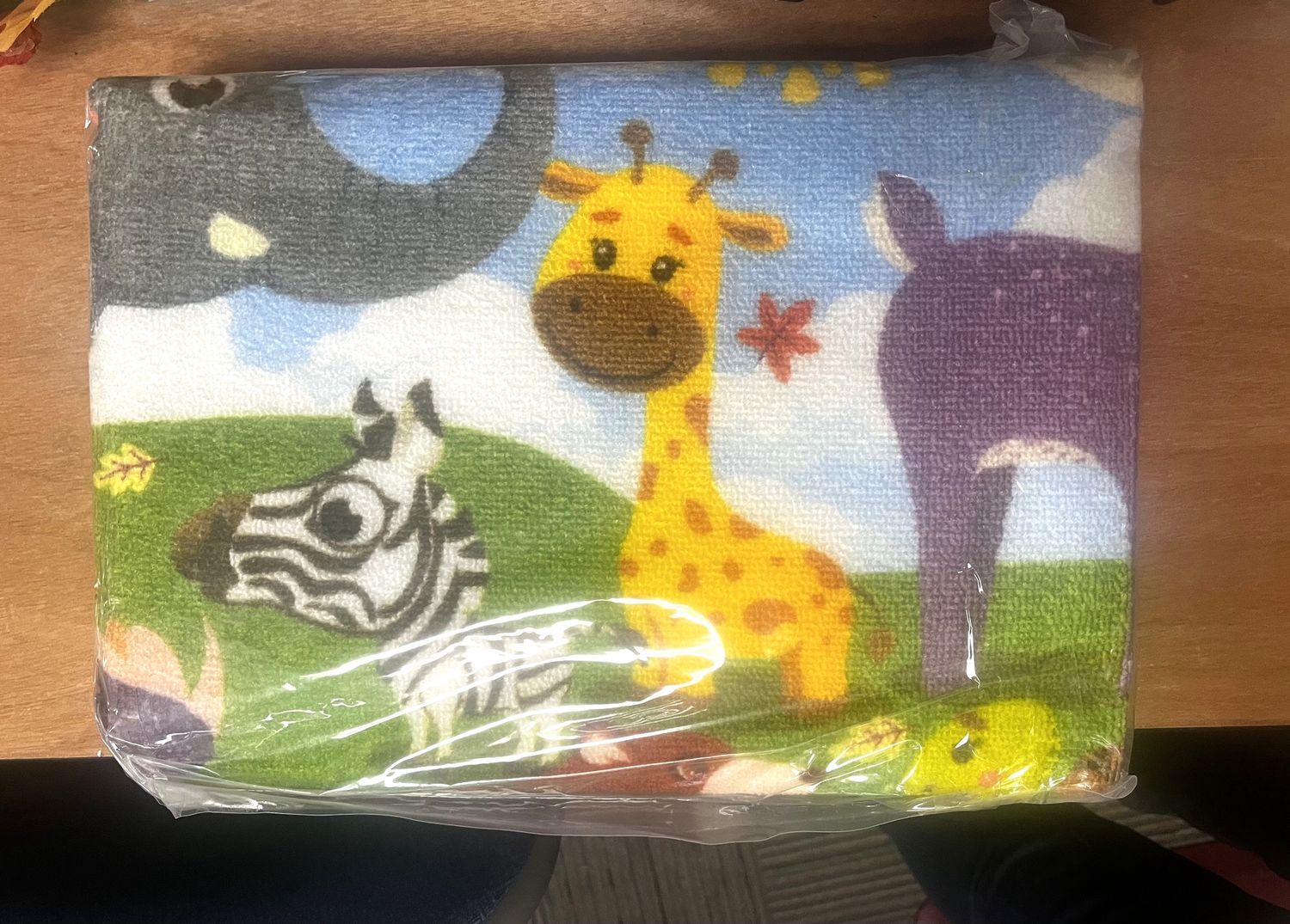 ABC Classroom Rug 59x39