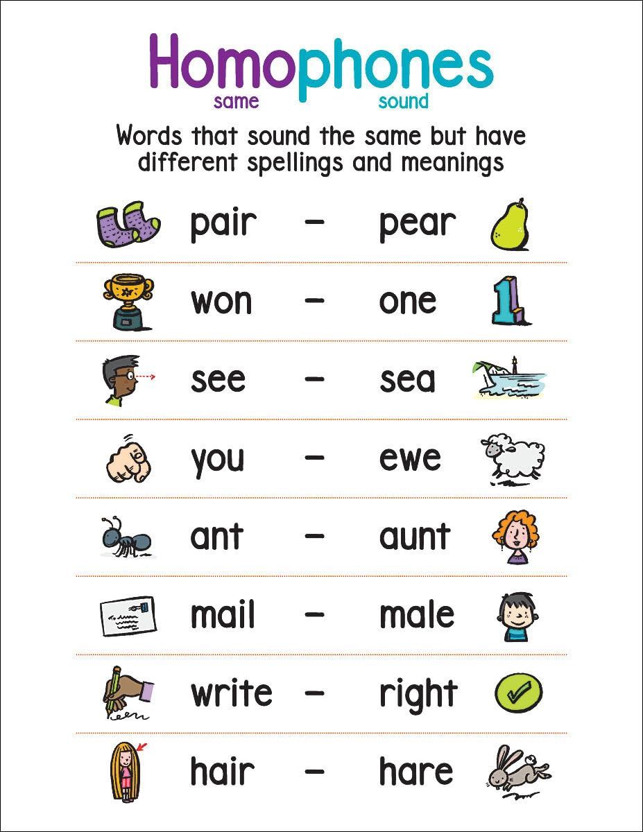 Anchor Chart Homophones Wall Chart