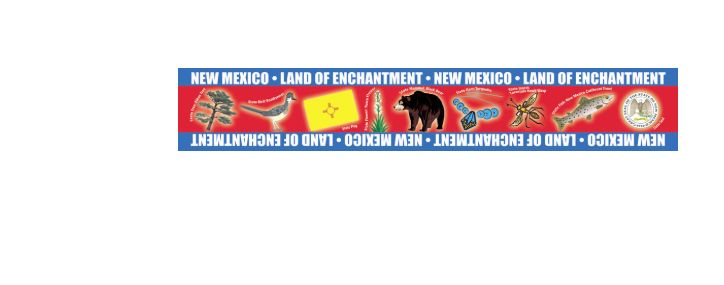 New Mexico Border