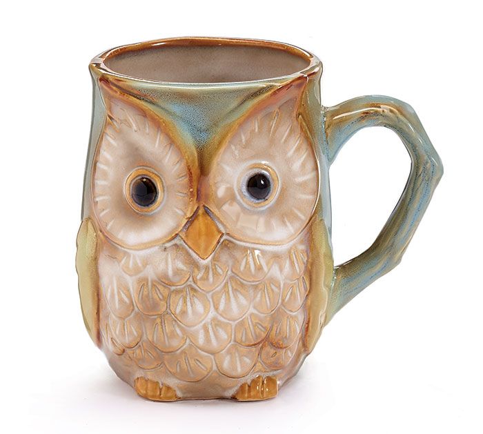 Blue/Green Owl Mug