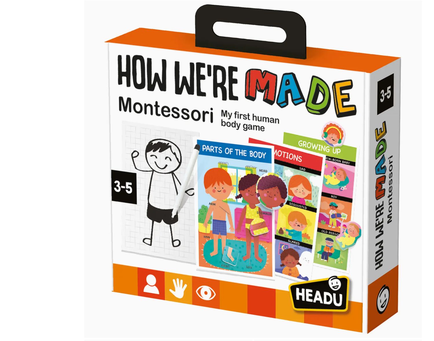 How We Are Made Montessori Game