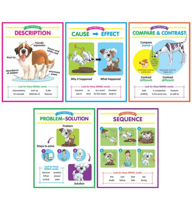 Text Structures Anchor Charts Bulletin Board Set