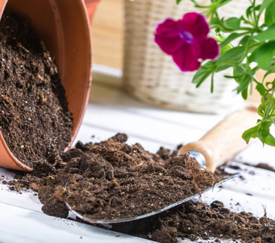 Soils &amp; Potting Mixes