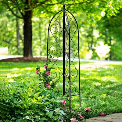 Trellis &amp; Plant Support