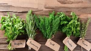 Herbs