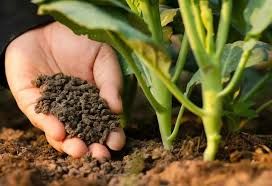 Plant &amp; Lawn Care Amendments