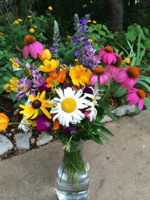 Farm Posies