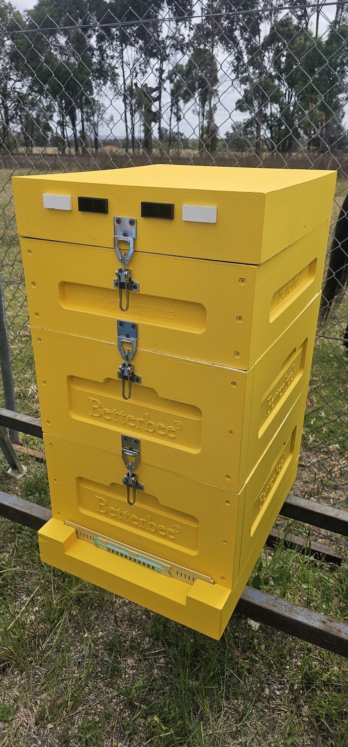 10 Frame Poly Beehive (2 x FD body, 1 x 1/2 body), painted, Colour: Yellow