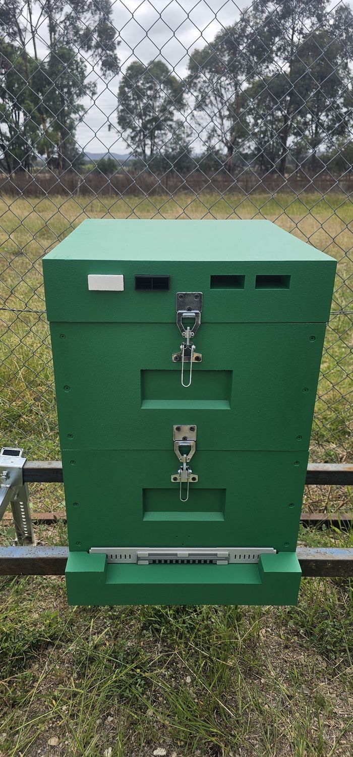 10F American Langstroth Beehive, painted (Green)