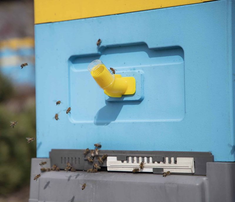 Swarm register - pack of 10 pcs