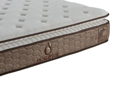 Medium-firm, One-sided mattress Ocaliptus Independent Pocket Springs, 6 sizes