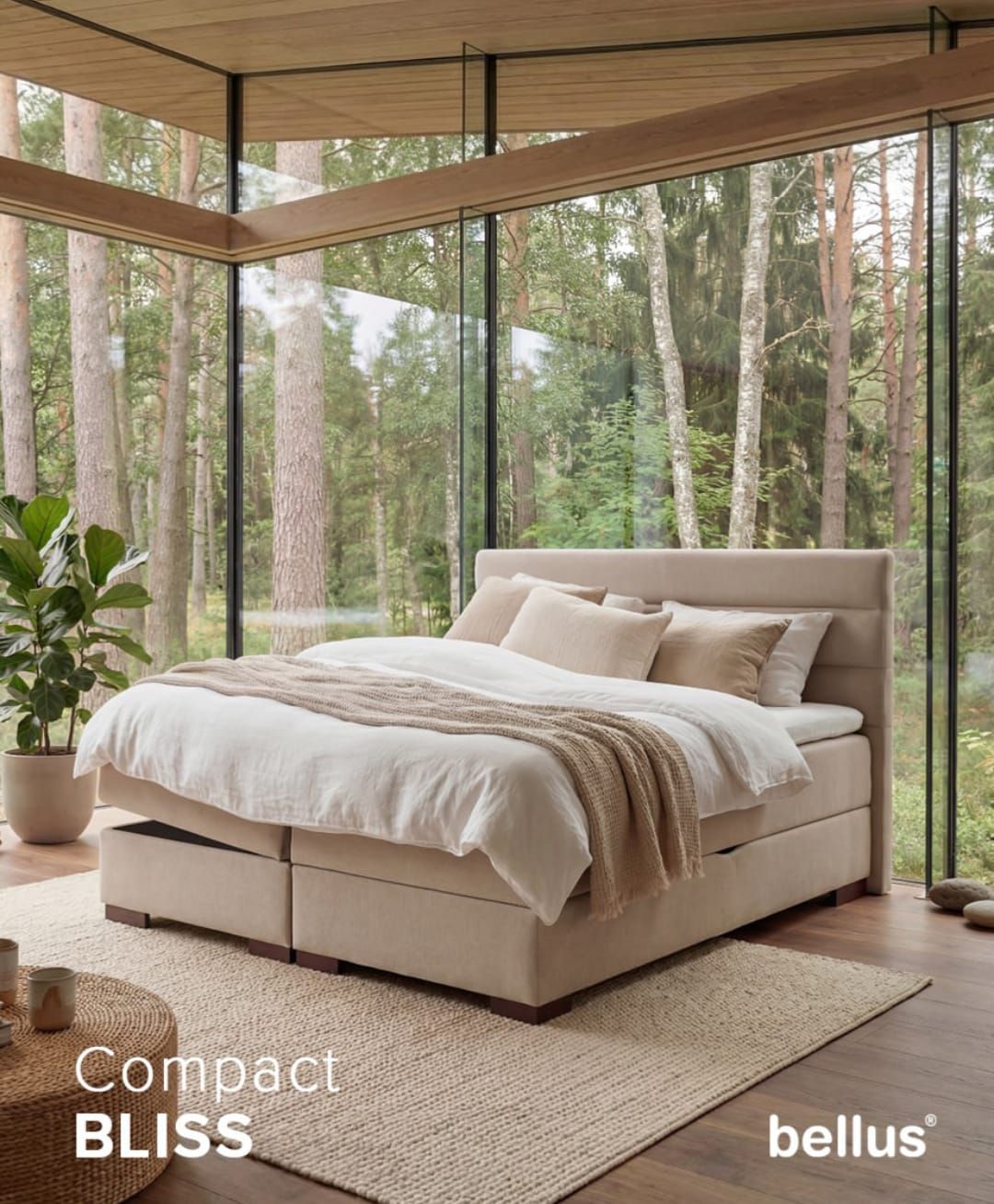 Continental Bed Set Compact Bliss by Bellus, 5 sizes