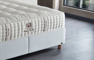 Mattress Champ Elysees
Furniture store Manx mēbeles
Pulkveža Brieža ielā 4 Jelgava