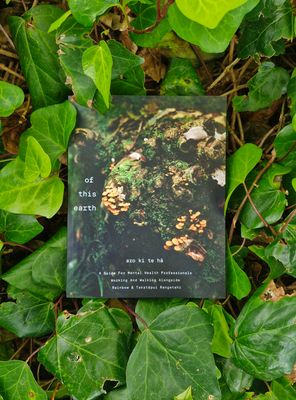 Of This Earth - A Guide For Mental Health Professionals Working And Walking Alongside Rainbow &amp; Takatāpui Rangatahi