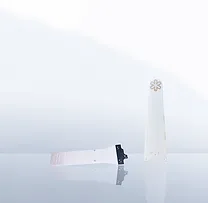 Ceramic