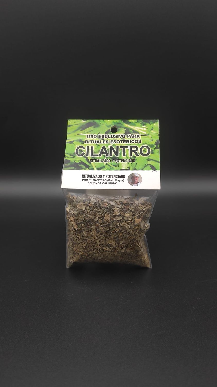 Cilantro