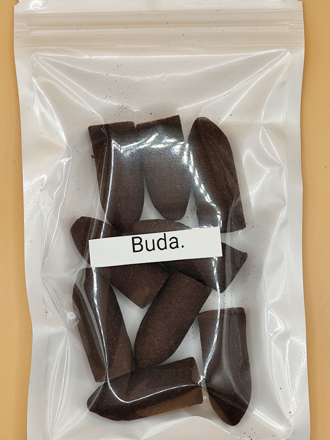 Conos de Reflujo de Buda
