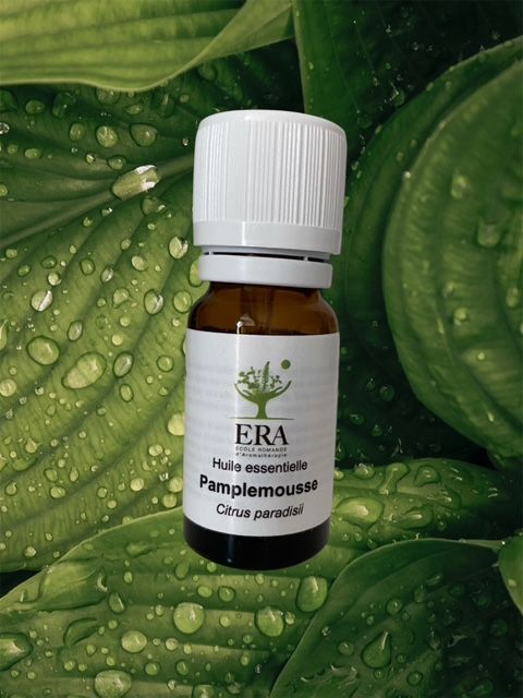 Pamplemousse
