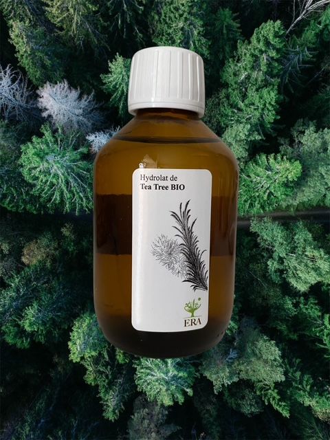Tea-Tree