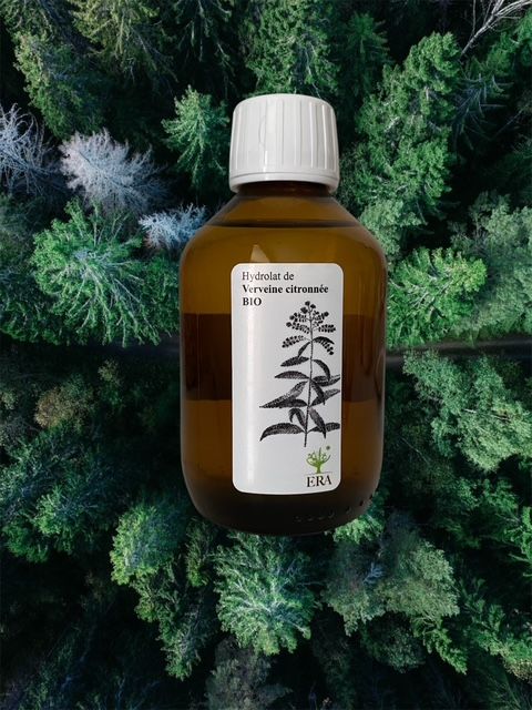 Verveine citronnée