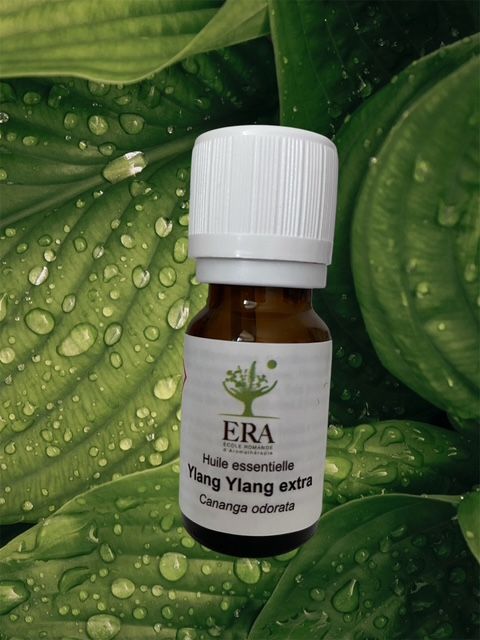 Ylang-Ylang Extra