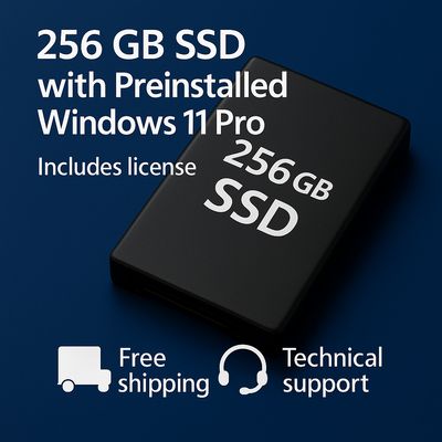 SSD 256 GB con Windows 11 Pro preinstalado