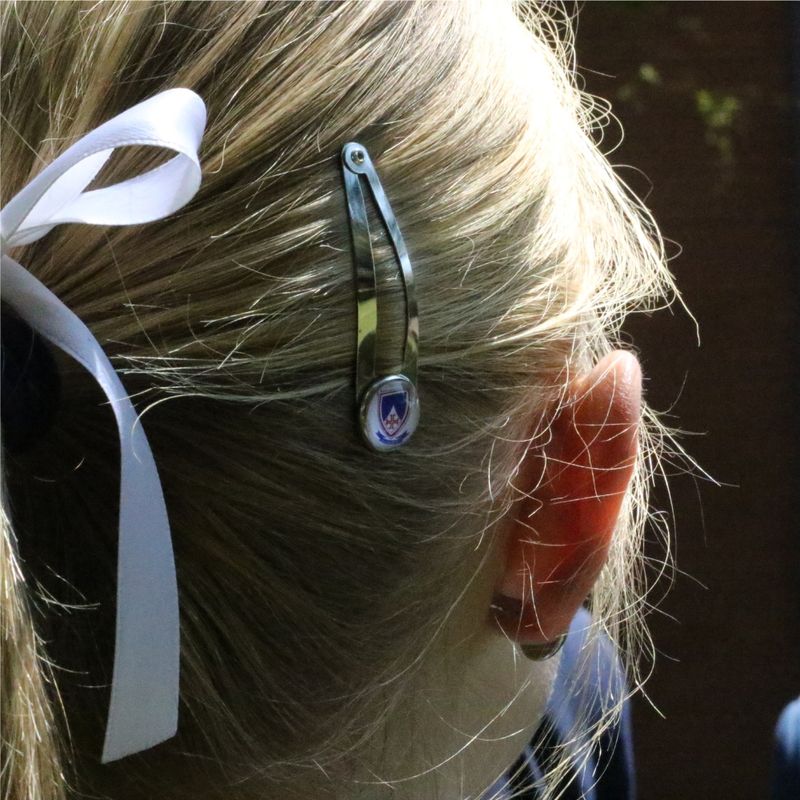 Aanklipknippies met skoolwapen (stel van 2)