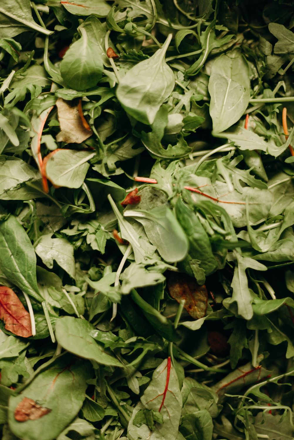 Field Greens Salad (serves 4)