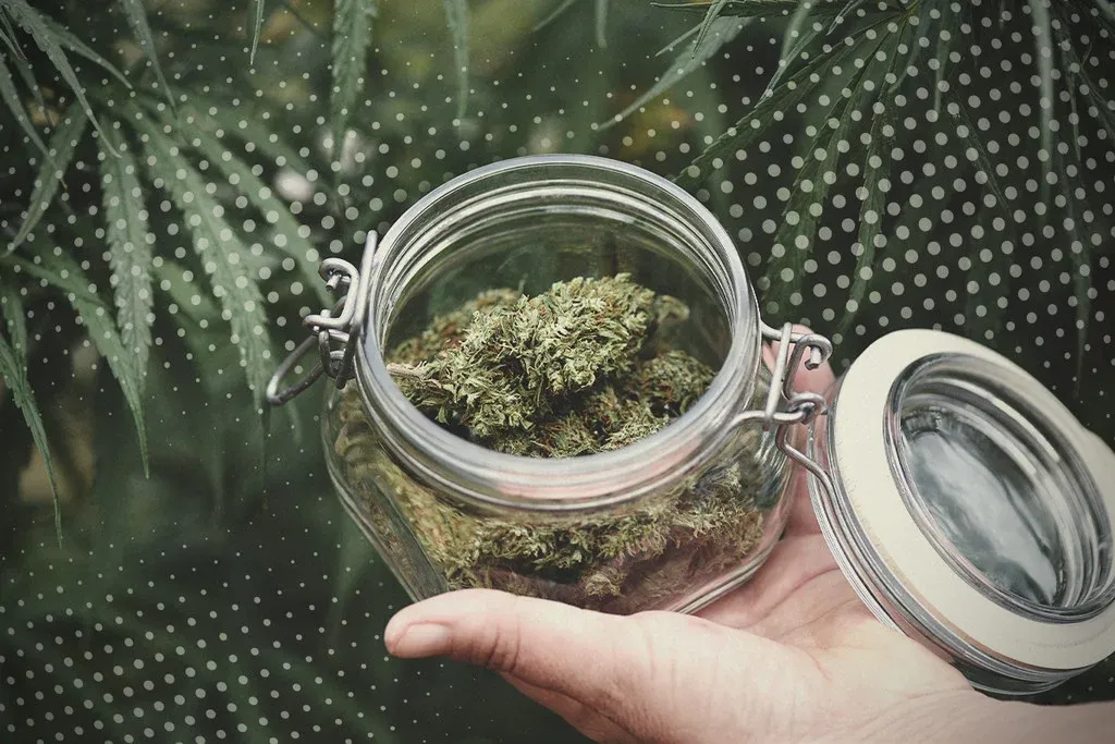Sativa Strains