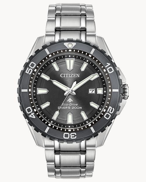 BN0198-56H Promaster Dive