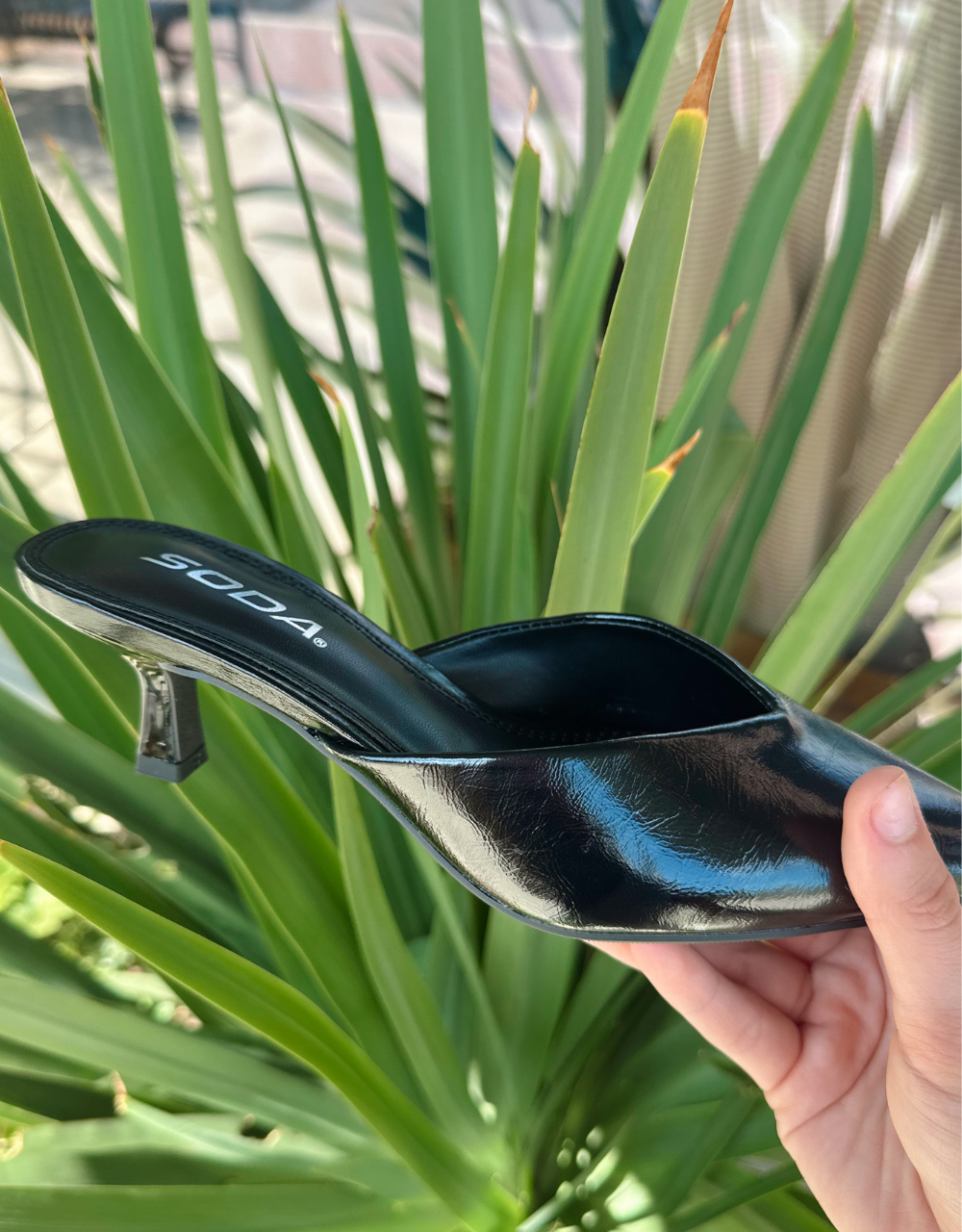 JAVANA BLACK