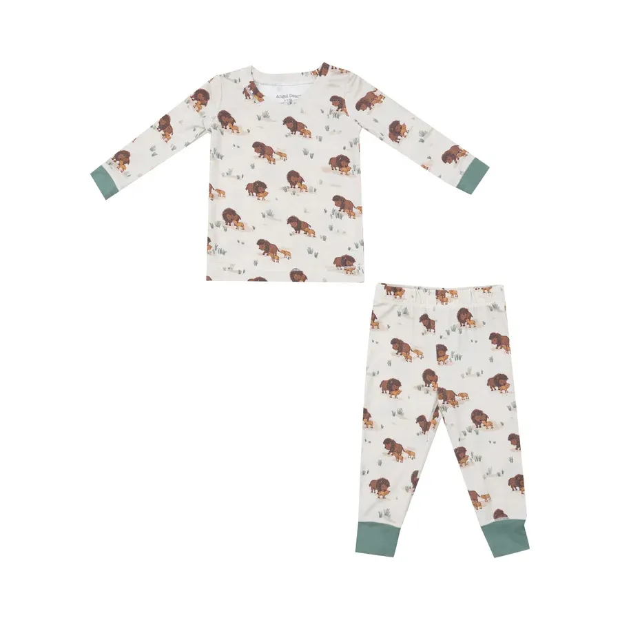 BISON FAMILIES SET