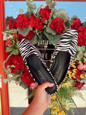 CLASSY ZEBRA