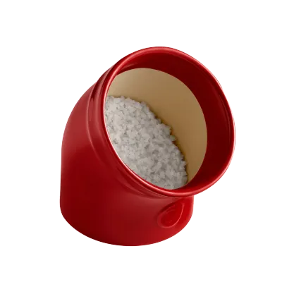 Emile Henry Salt Pig