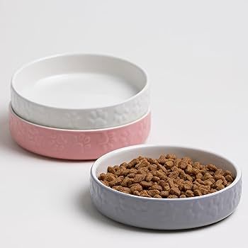 Colour Mix Cat Saucer