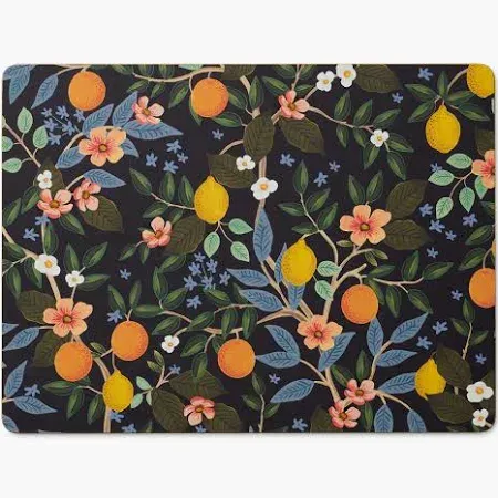 Citrus Grove Set of 4 Cork Placemats