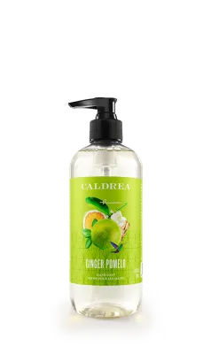 Ginger Pomelo Hand Soap