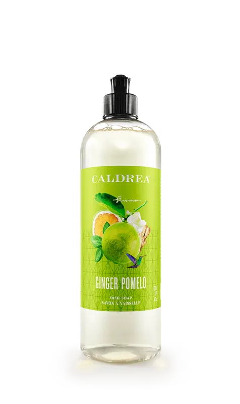 Ginger Pomelo Dish Soap