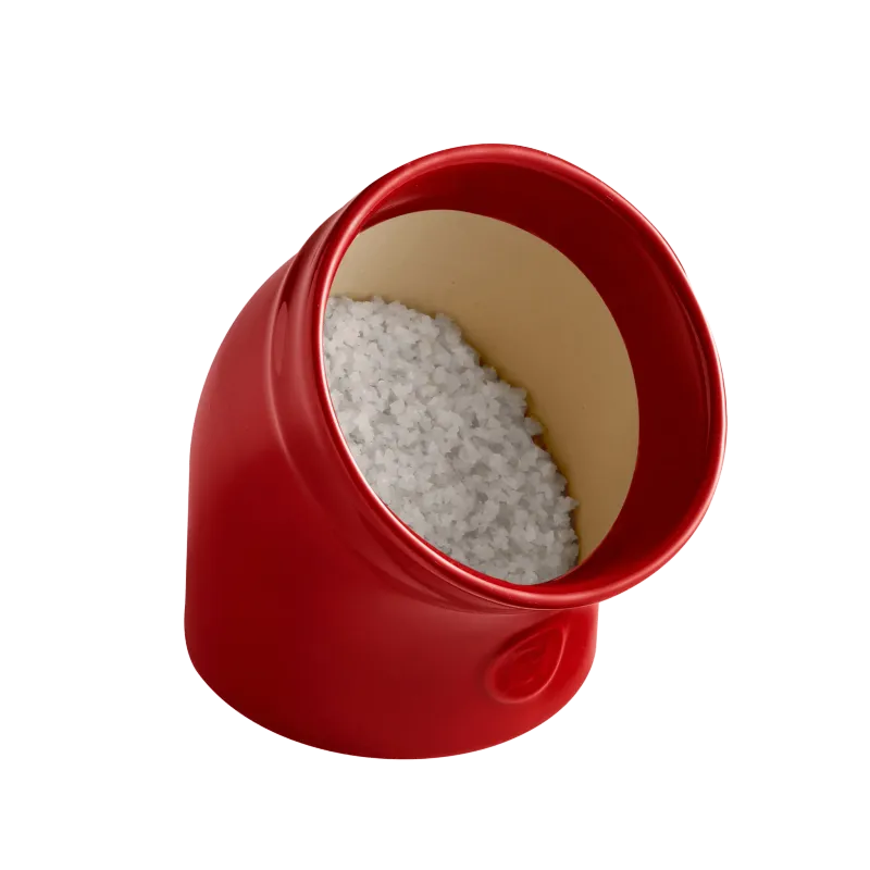 Emile Henry Salt Pig