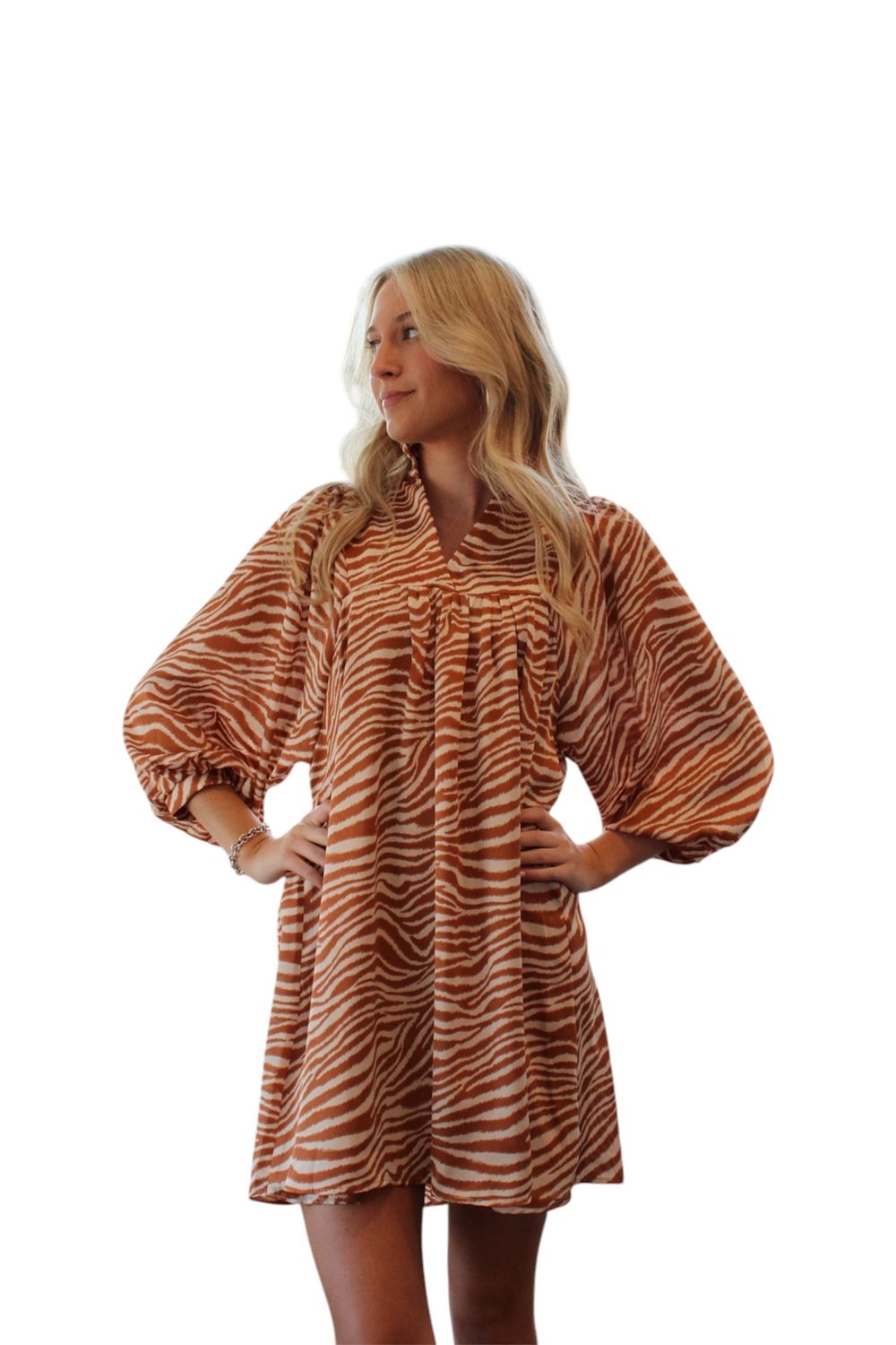 Naked Zebra V Neck Dress