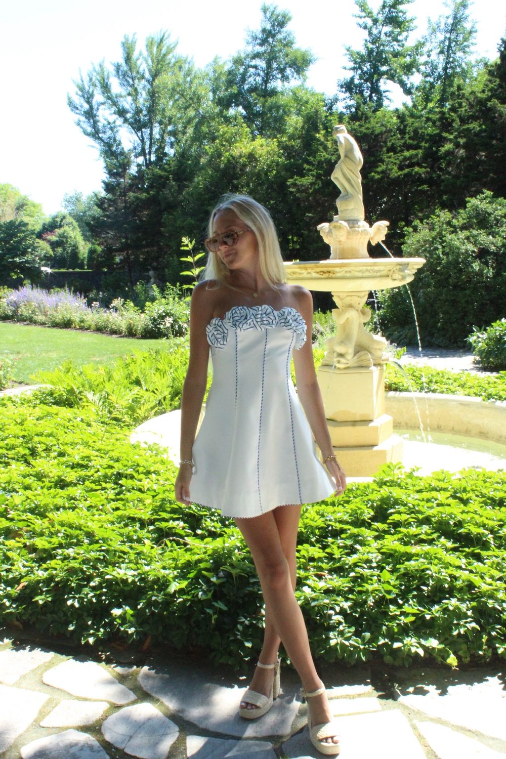 Striped Rose Mini Dress