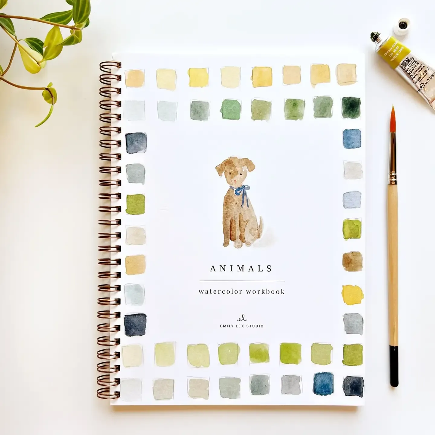 Animals Watercolor Book
