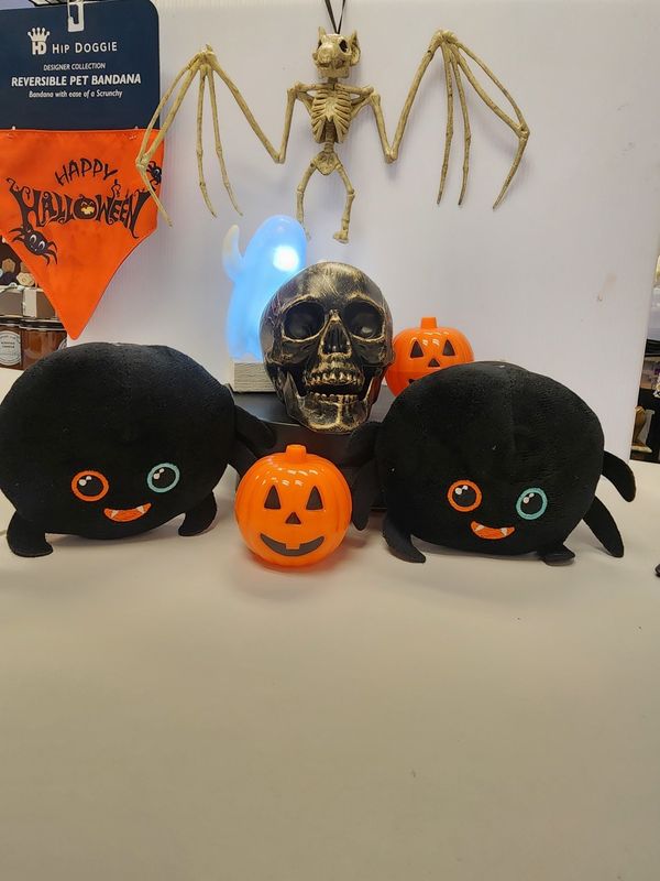 Halloween Plush Spider Dog Toy- Squeaker